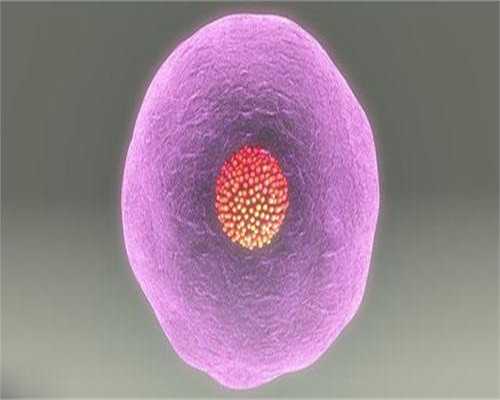 2024年三代供卵试管医院实力排名及助孕机构选择指南