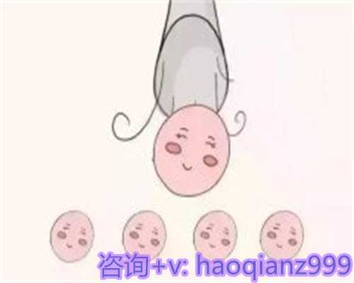 人工授精周末排卵应对策略与医院安排详解