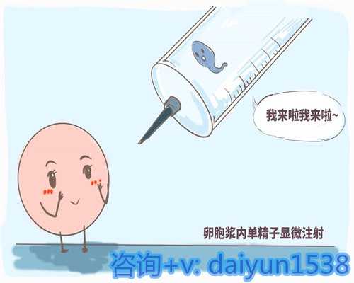 北京冷冻卵子费用及医院选择指南，助您了解代怀与助孕服务